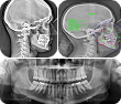Ortho File